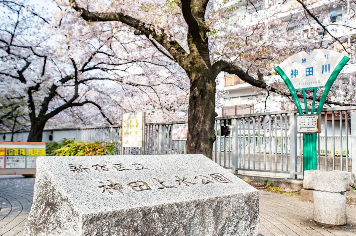 東京最浪漫賞櫻景點！火車伴櫻花海、粉紅獨角獸民宿，每個角落都美拍