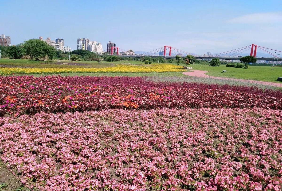 延長15天！免費約會景點「浪漫蝴蝶花海」50萬顆光雕展，6月前打卡去