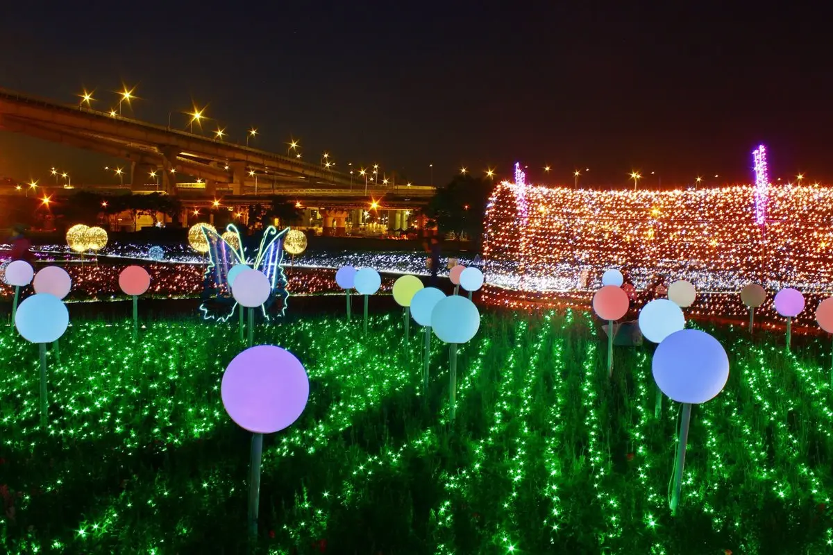 出發了！板橋蝴蝶公園，白天拍「23萬株花海」、夜賞「50萬顆光雕」