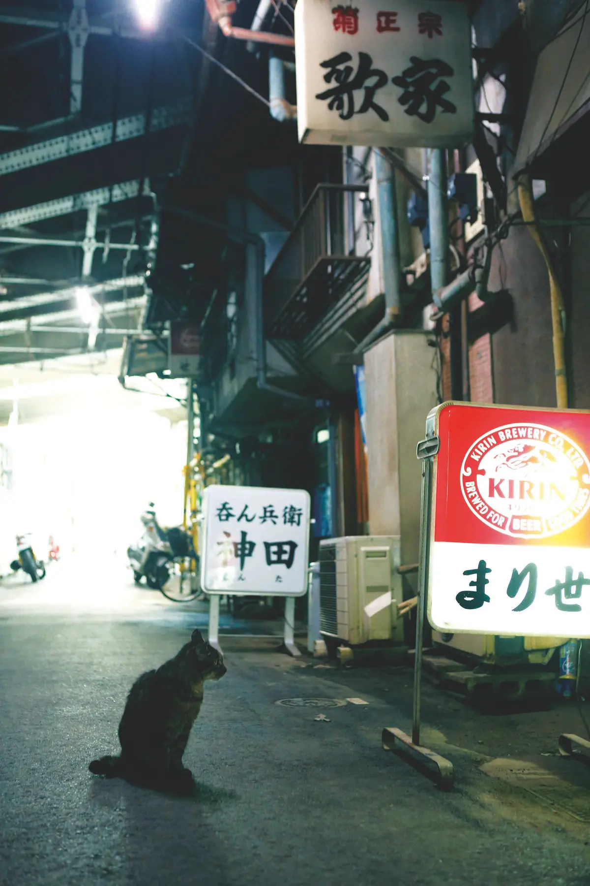 東京即將消失的景點！3座高架橋下商店，再不去下次就逛不到了