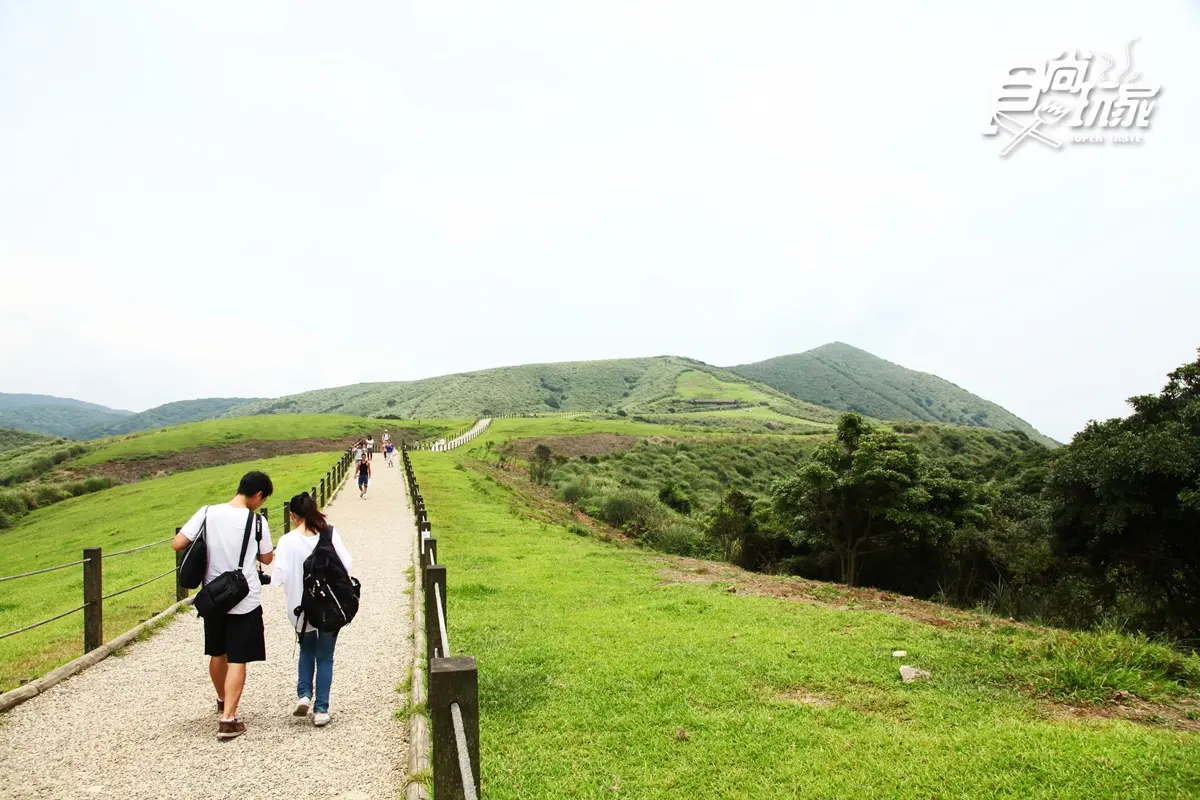 雙北3條美拍步道：黑森林之心、藍鵲、吊橋、夢幻湖+2家祕境餐廳
