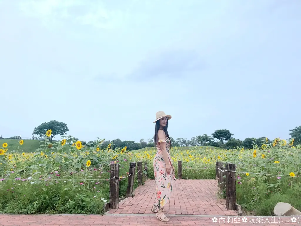 網美集合打卡!初夏「全台10大追花攻略」繡球花、向日葵、百合花海 網美集合打卡!初夏「全台10大追花攻略」繡球花、向日葵、百合花海