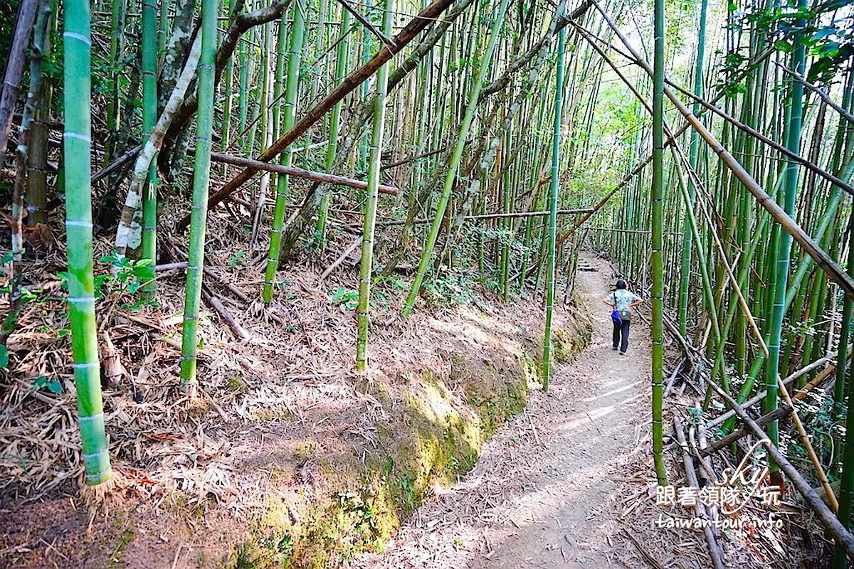 在地人才知!北中南親子玩水6祕境:世界最大水龍頭池、水濂洞瀑布、內雙溪畔 在地人才知!北中南親子玩水6祕境:世界最大水龍頭池、水濂洞瀑布、內雙溪畔
