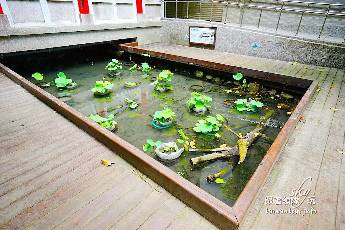 在地人才知!北中南親子玩水6祕境:世界最大水龍頭池、水濂洞瀑布、內雙溪畔 在地人才知!北中南親子玩水6祕境:世界最大水龍頭池、水濂洞瀑布、內雙溪畔