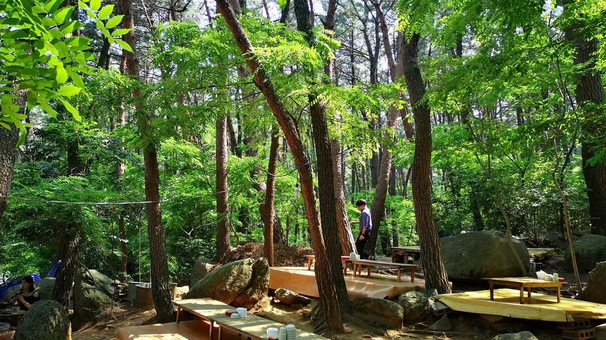 韓最夯「醫美小旅行」9亮點！小編直擊「整型一條街」祕境、景點、美食