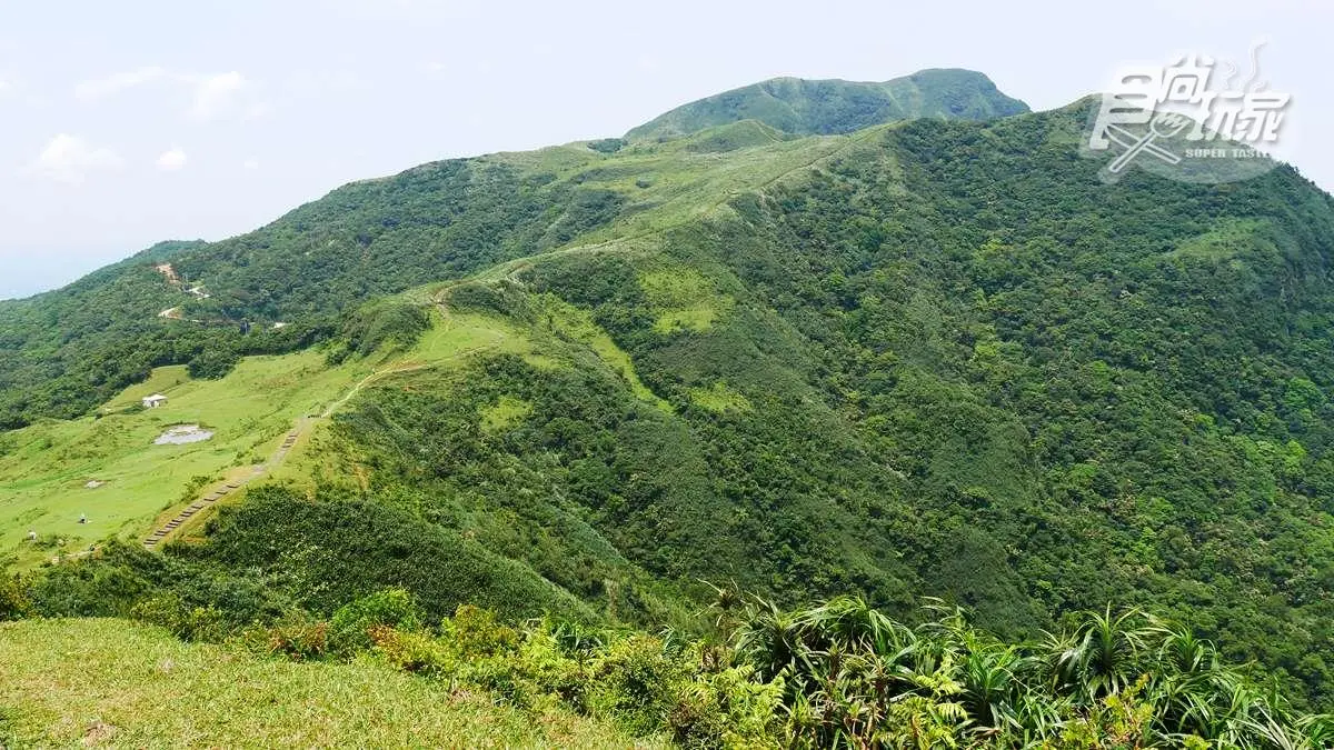 360度海景草原祕境！爆紅步道這山像「拉布拉多」，找神奇「人腦聖地」