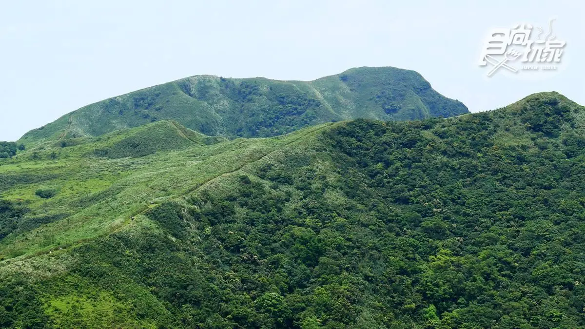 360度海景草原祕境!爆紅步道這山像「拉布拉多」,找神奇「人腦聖地」