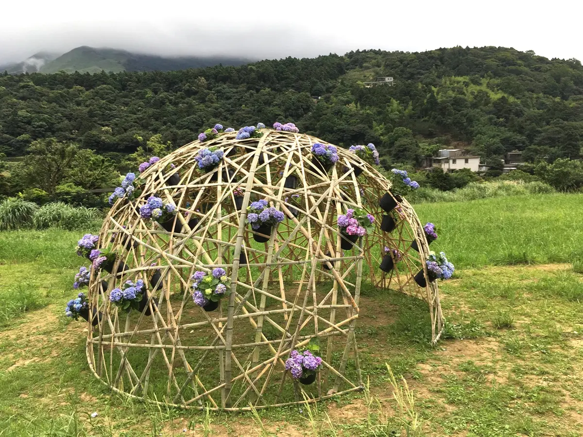 「繡球花野餐」免入園費!繡球花地景+音樂會拍好拍滿 「繡球花野餐」免入園費!繡球花地景+音樂會拍好拍滿