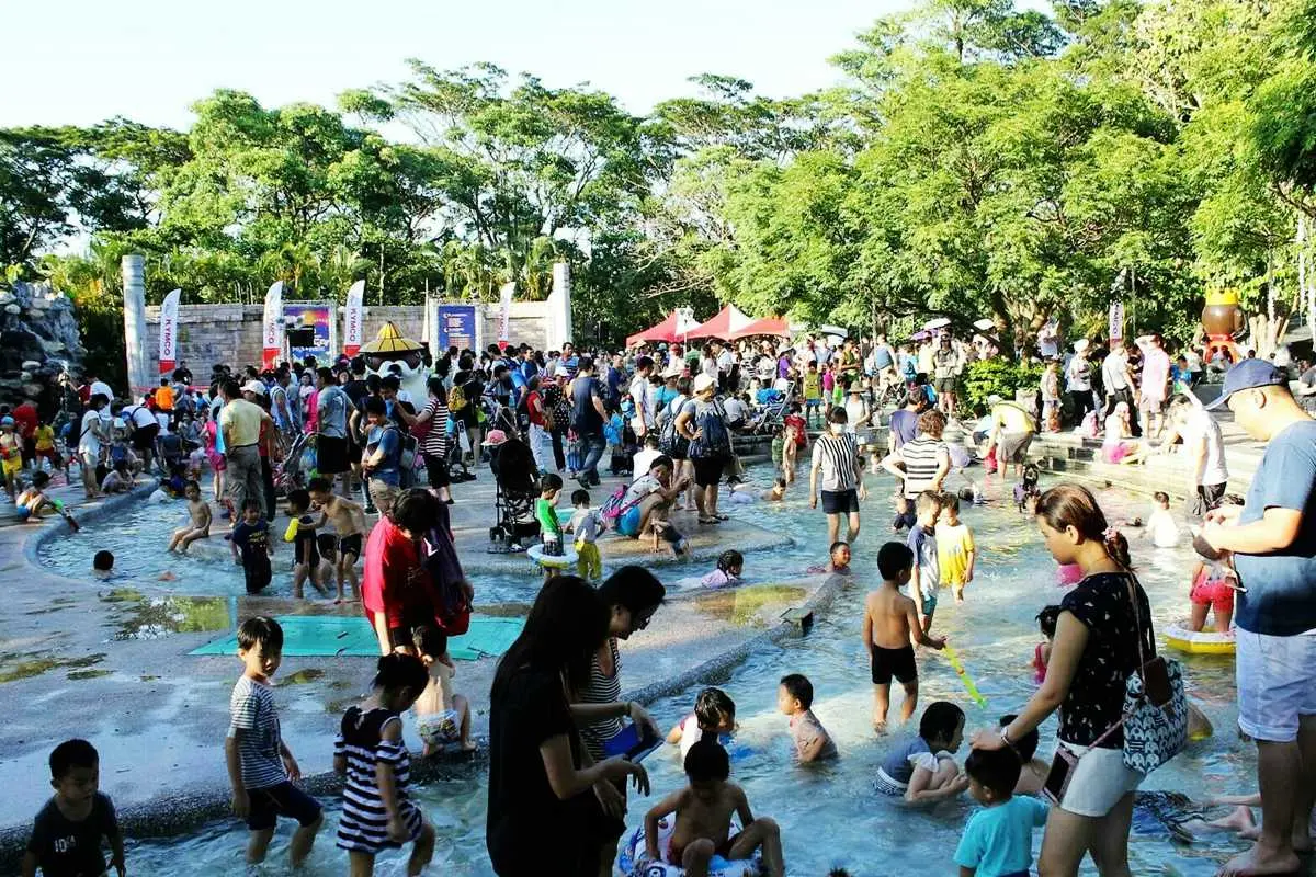 來看樹懶吃飯洗澡!動物園暑假夜間開放囉,下午入園半價 來看樹懶吃飯洗澡!動物園暑假夜間開放囉,下午入園半價