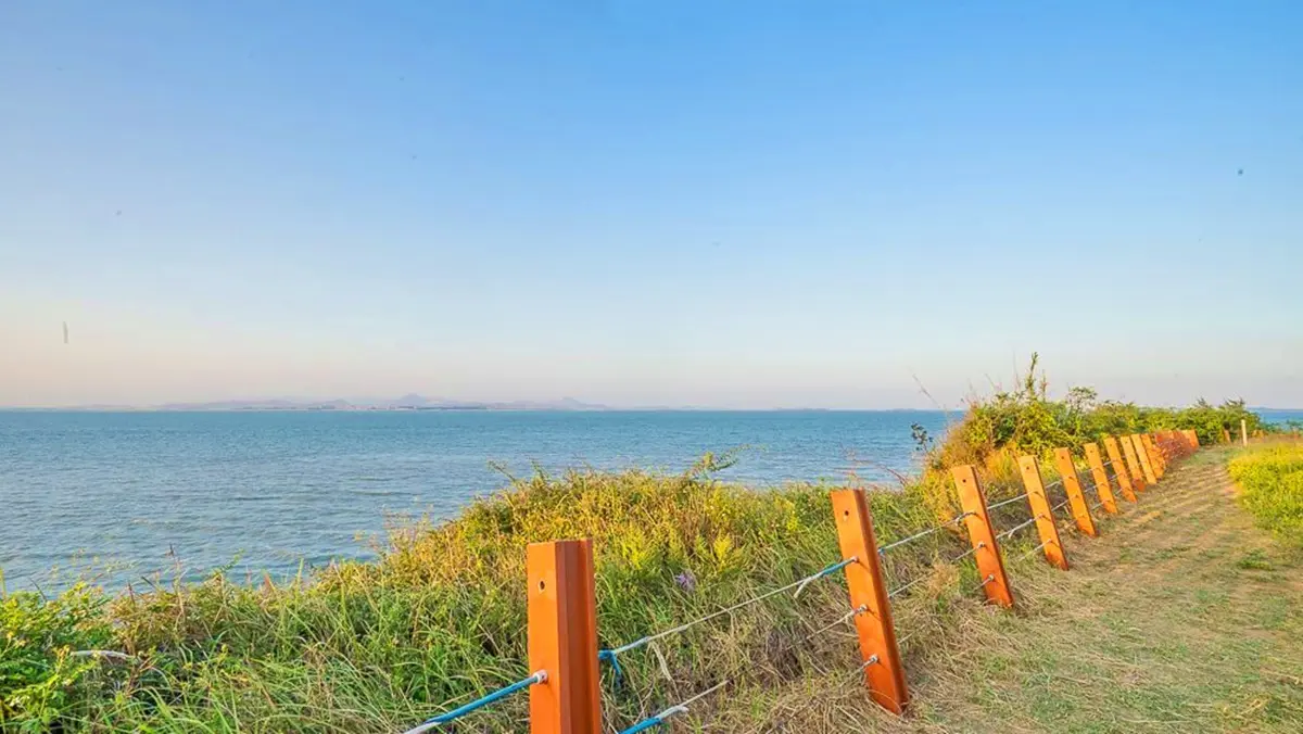 7月玩金門！海灘挖花蛤、聽超強卡司音樂會、美拍IG熱點「小威尼斯」「紅磚樹牆」