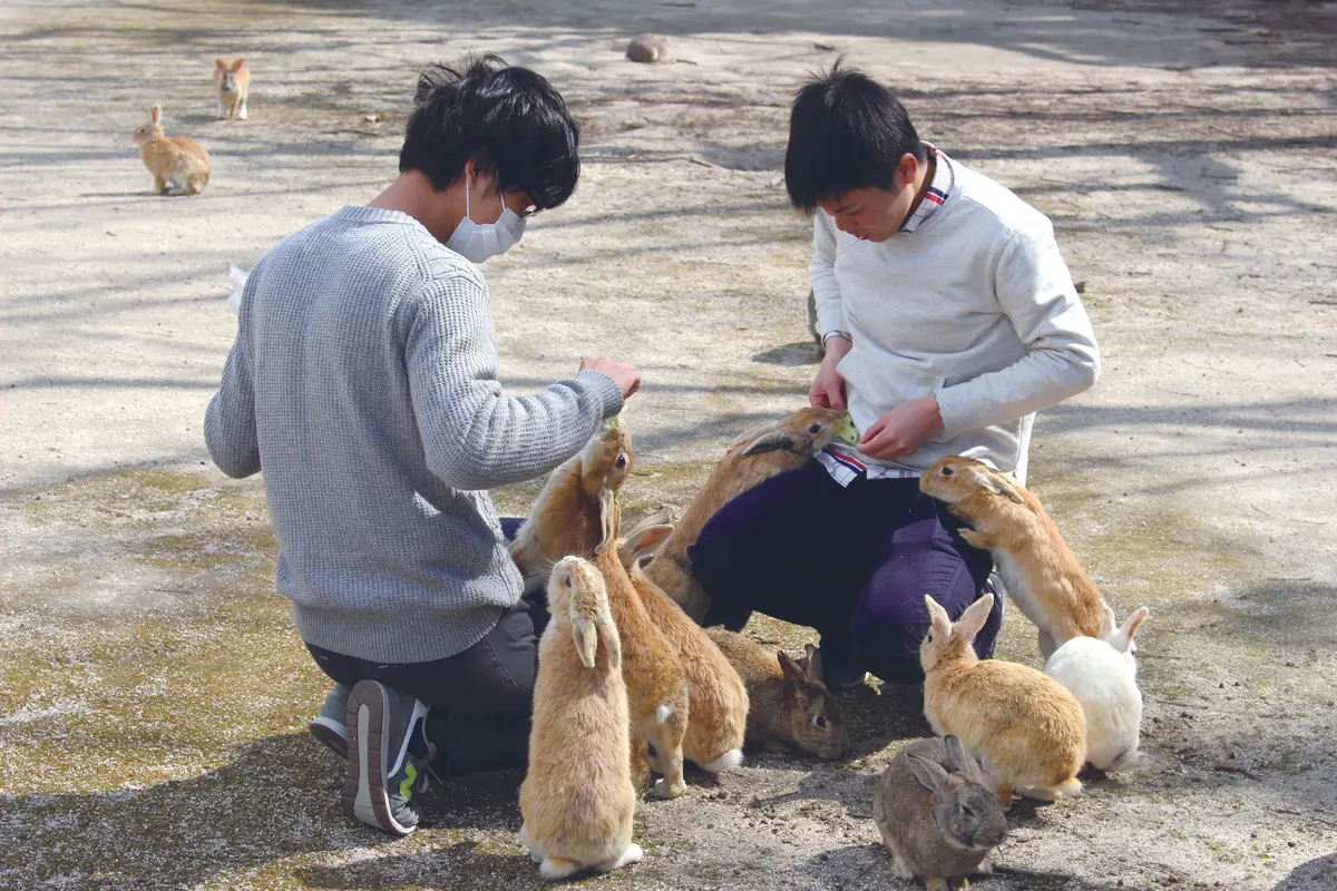 日本控要知道!廣島玩樂7亮點:搭渡輪探超萌兔子島、跟妻夫木聰住旅館、美拍熱門景點 日本控要知道!廣島玩樂7亮點:搭渡輪探超萌兔子島、跟妻夫木聰住旅館、美拍熱門景點