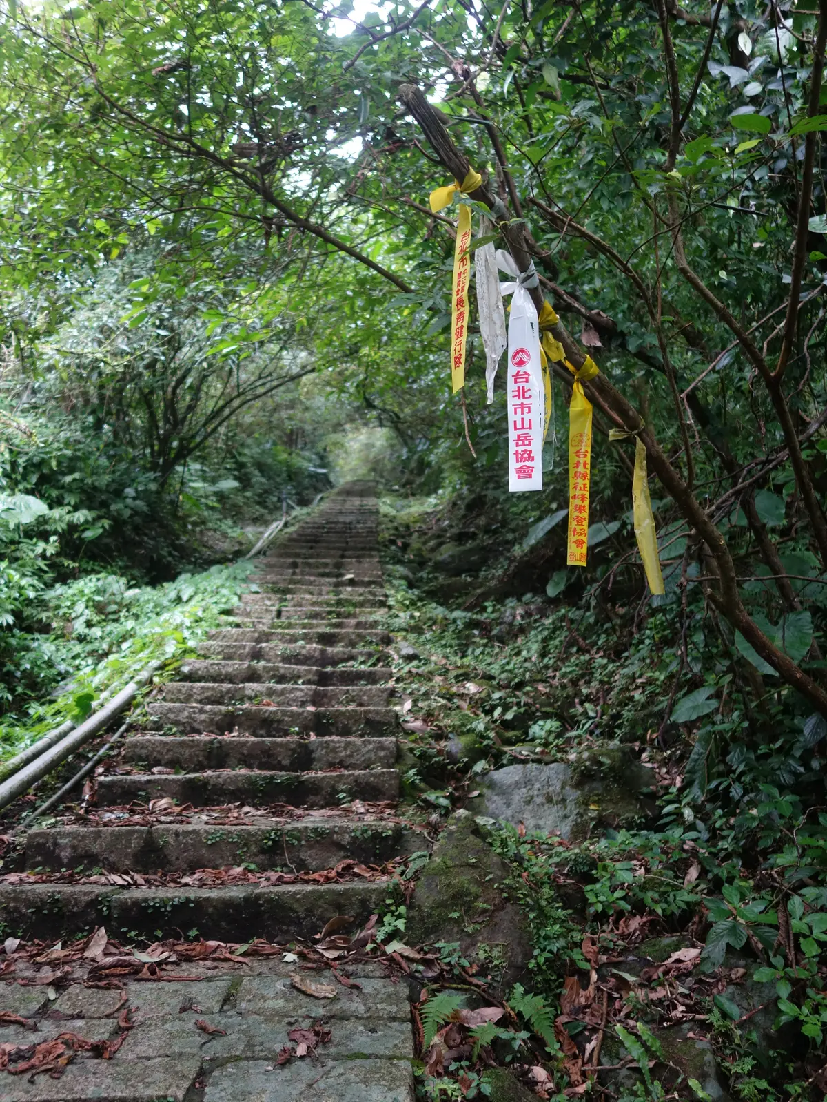傳說中的「魔神仔洞」在這!天然形成的?礦業留下來的遺跡? 傳說中的「魔神仔洞」在這!天然形成的?礦業留下來的遺跡?