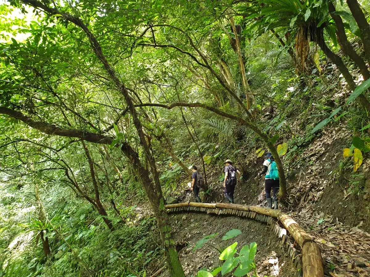 新北9古道這樣玩！「土匪大道」野餐、「山羊洞」探險、「燦光寮」美拍