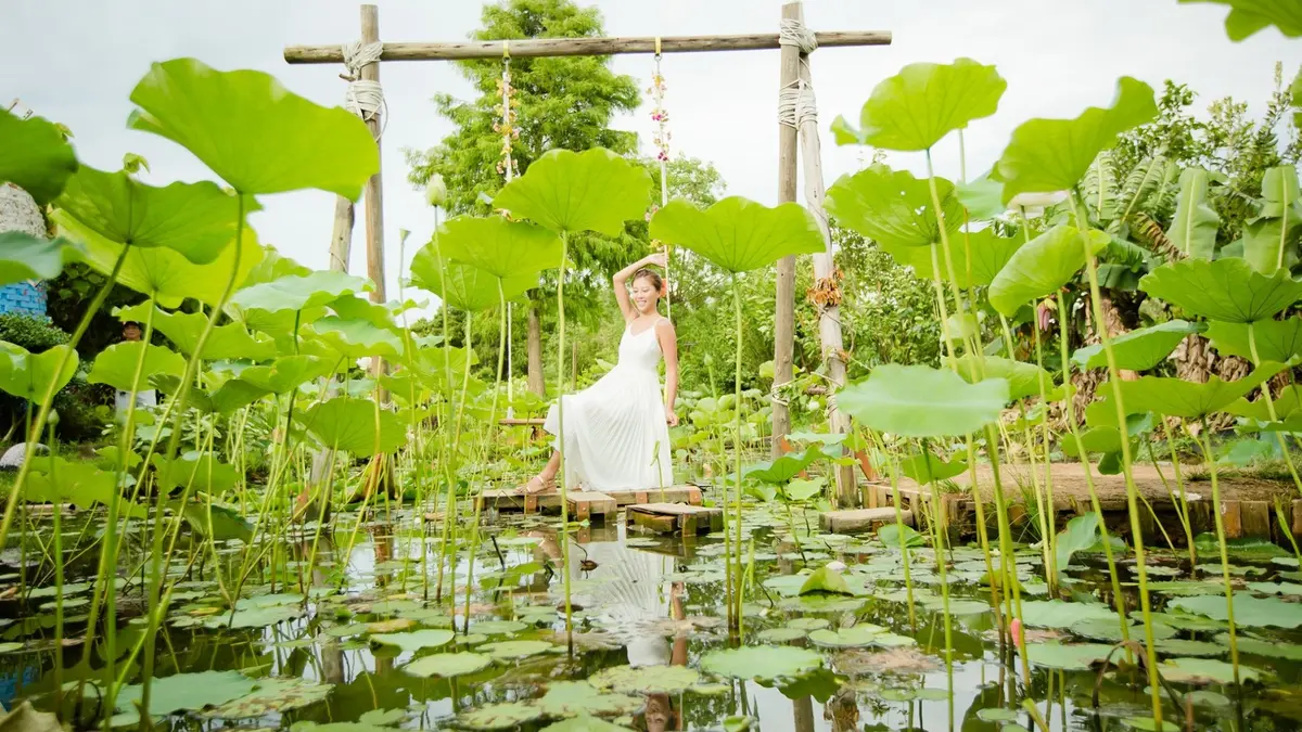 就用農遊券來坐「大王蓮」吧!躺著當拇指公主最可愛,水上鞦韆拍仙女照 就用農遊券來坐「大王蓮」吧!躺著當拇指公主最可愛,水上鞦韆拍仙女照
