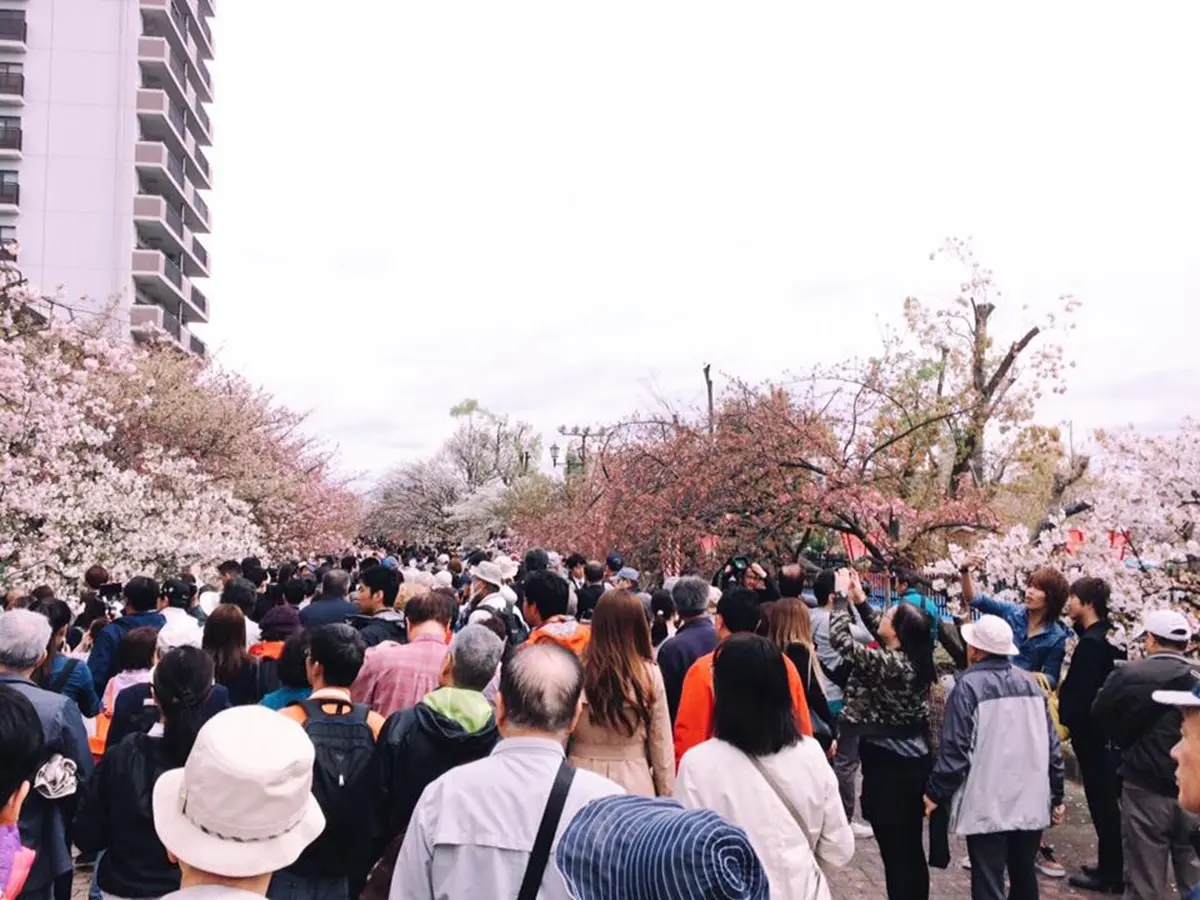 2020玩日本看這篇！奧運年連假變多，避滿滿人潮這些時間別去