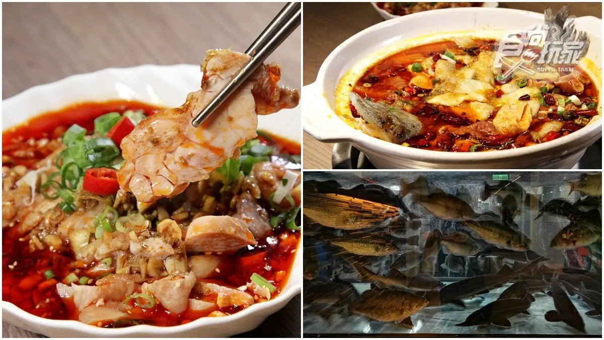 【新開店】麻辣控想衝！20種辛香料「麻辣活魚」現點現撈，挑戰發麻指數