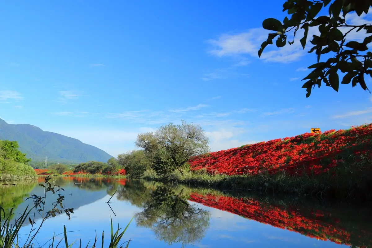 5大「血色祕境」神祕開啟！「千年花」曼珠沙華紅了，9月限定要拍要快