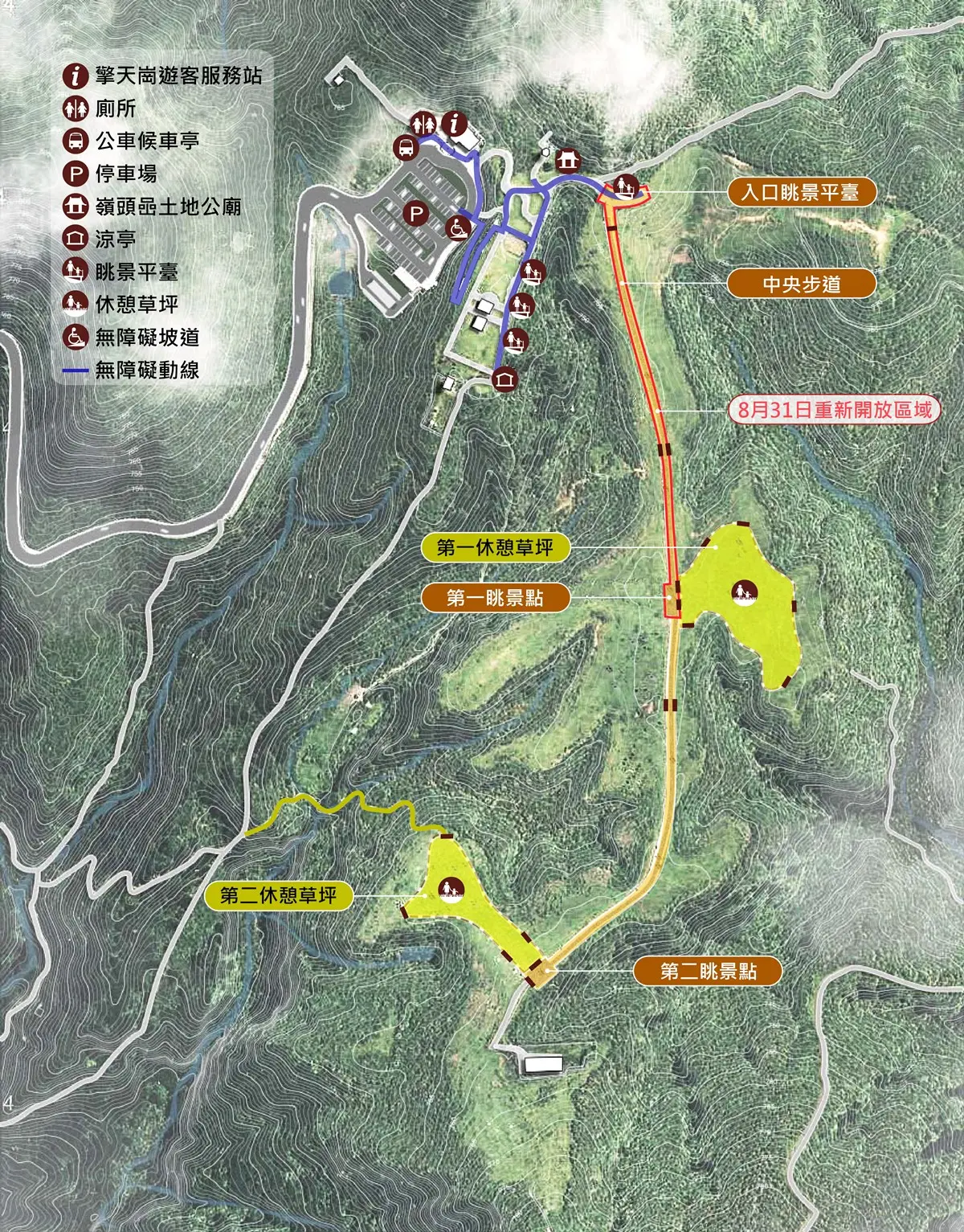 出發看牛牛！陽明山擎天岡「中央步道」重新開放，2階段「人、牛」分開管