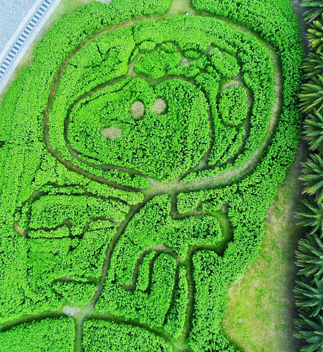 粉絲快衝！全台首座「史努比迷宮」8公尺大氣球、星光版史努比超好拍