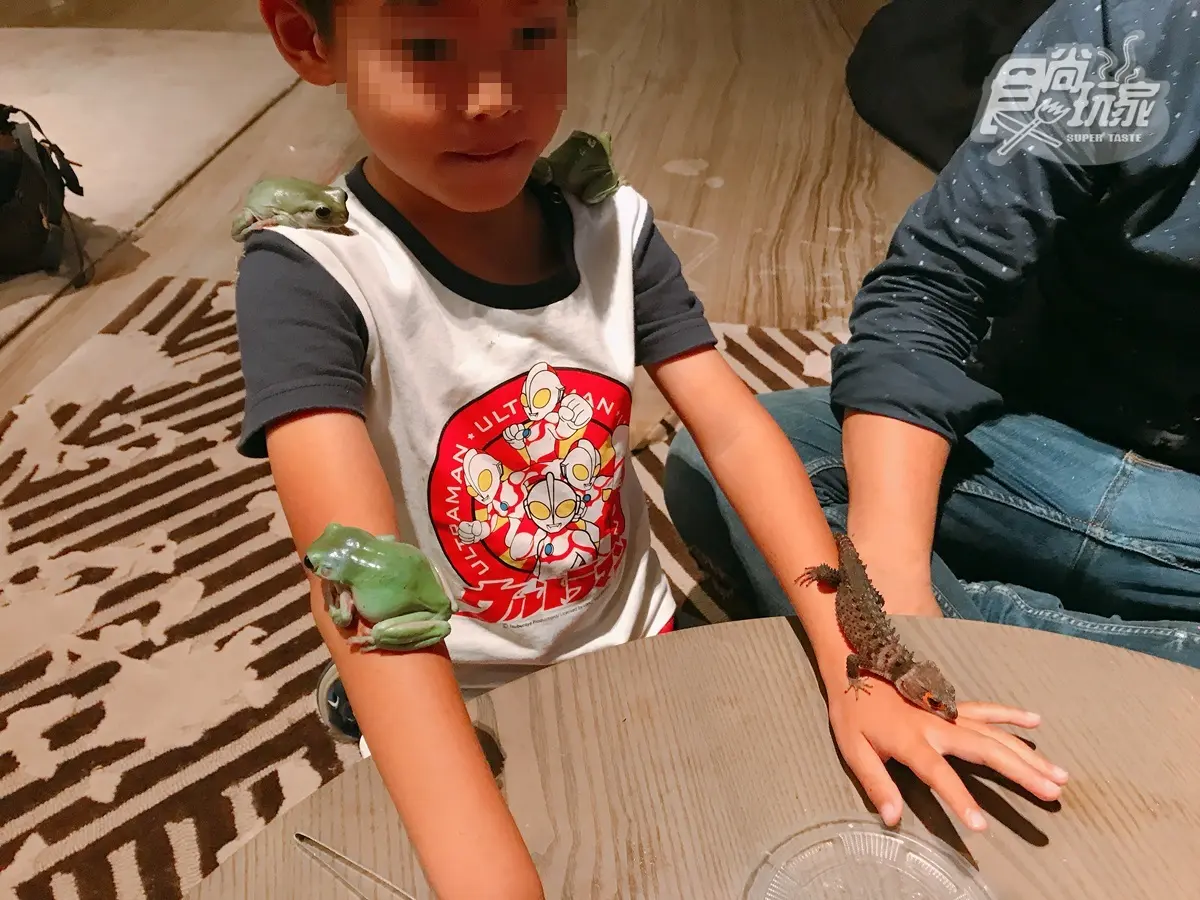 全台最美「彩虹飯店」這裡住！超多彩虹驚喜全都免費帶回家，還送牛排雙主餐