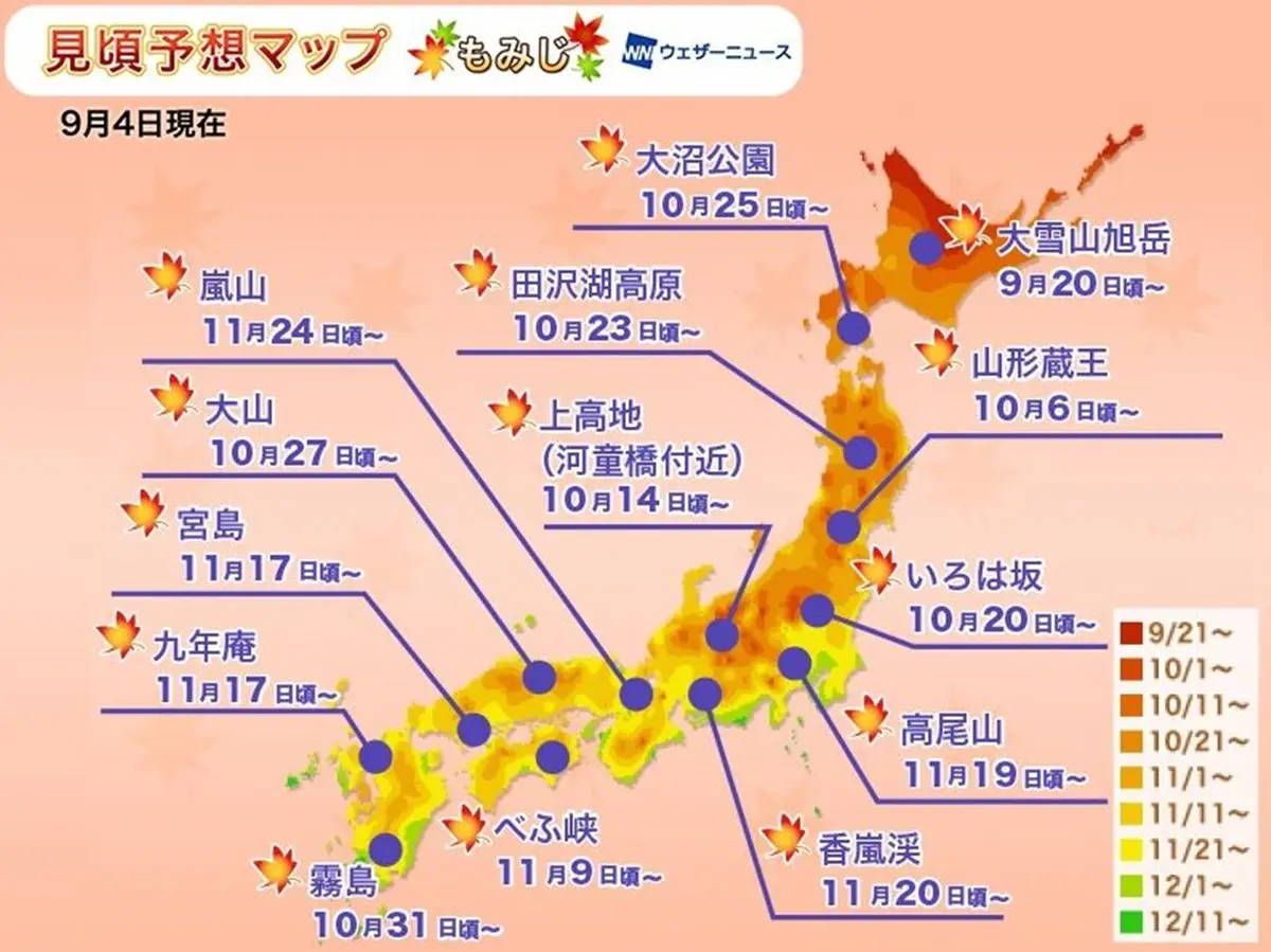 日本「滿開預測」出爐！浪漫秋楓、金黃銀杏，這時拍最美