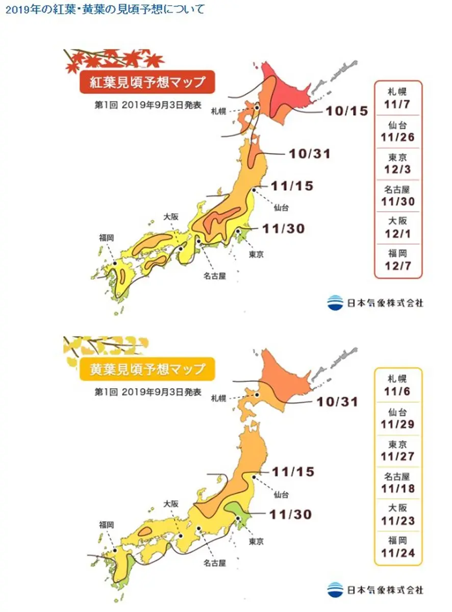 日本「滿開預測」出爐！浪漫秋楓、金黃銀杏，這時拍最美