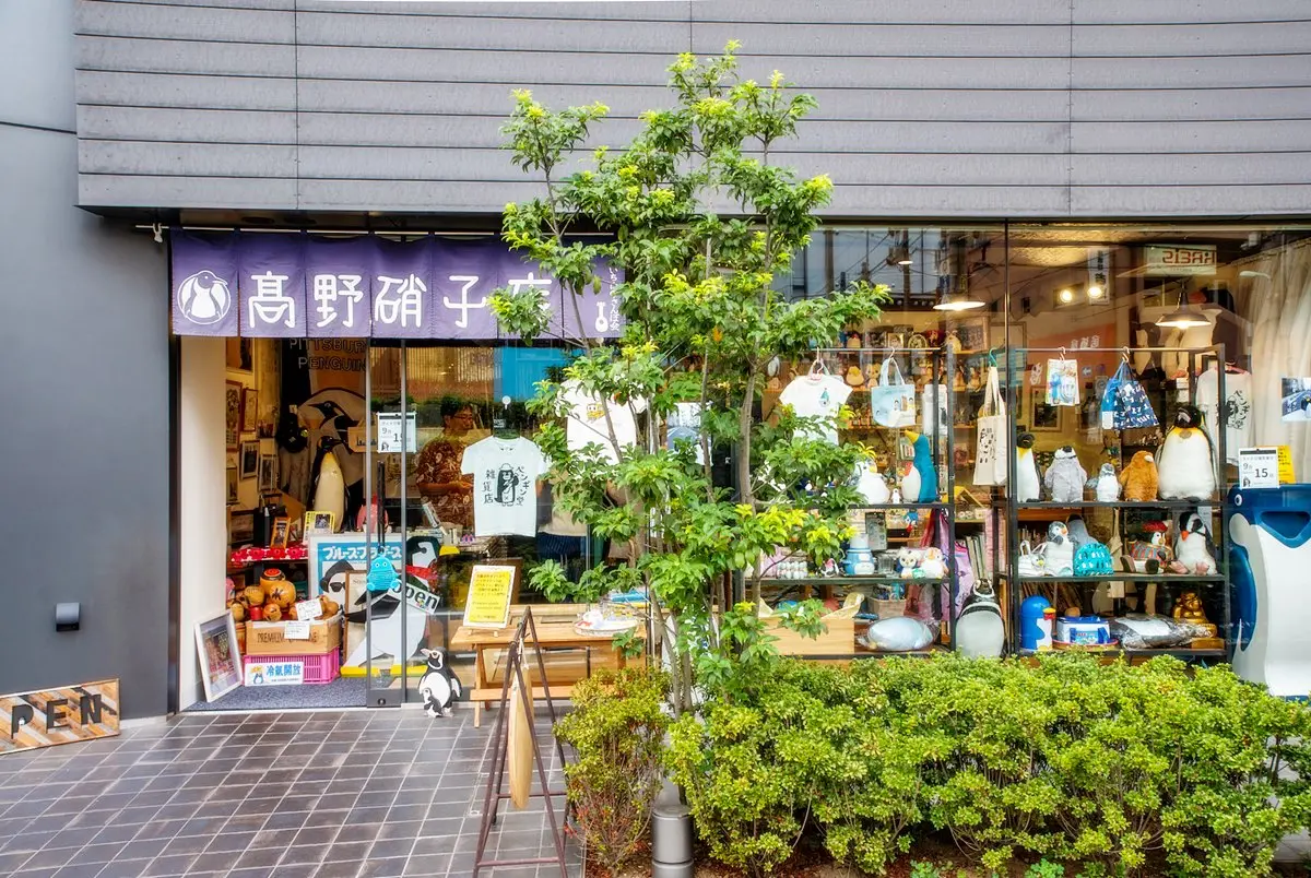 招財「企鵝」耶！企鵝迷最愛瘋狂小店，這隻幫你招桃花