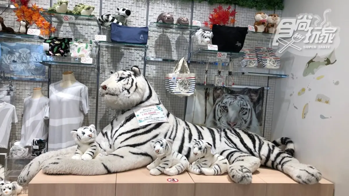 最鮮活的博物館!日本大阪「NIFREL」,近距離看白老虎、企鵝、水豚君 最鮮活的博物館!日本大阪「NIFREL」,近距離看白老虎、企鵝、水豚君