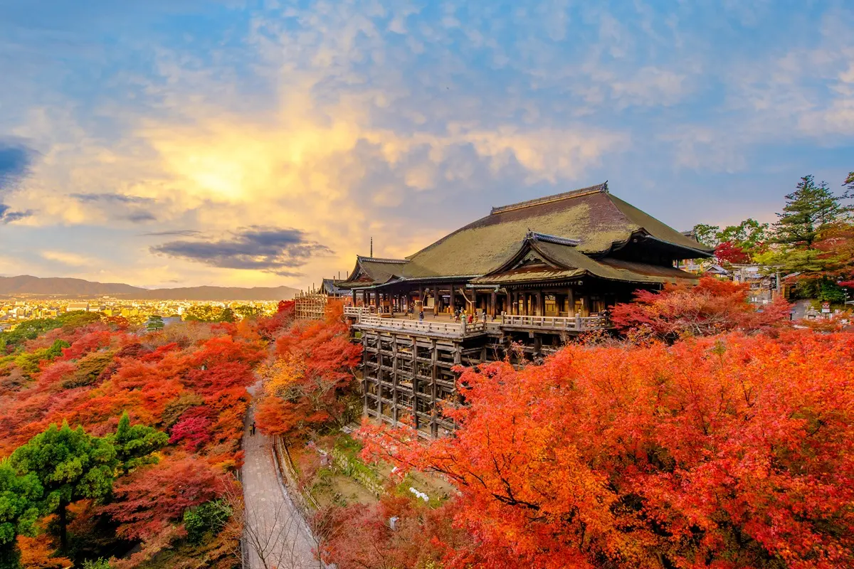 旅日小心撲空!海上鳥居、清水寺、熊本城11大景點整修中,開放時間看這篇 旅日小心撲空!海上鳥居、清水寺、熊本城11大景點整修中,開放時間看這篇