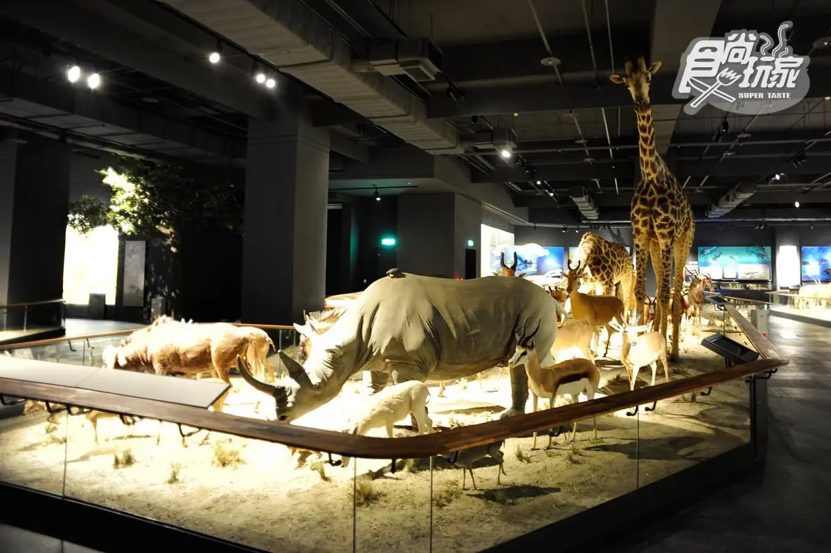 台南親子遊看這篇！好吃好玩都在這一區：鼓樂主題樂園、大分量平價牛排、芳香公仔DIY
