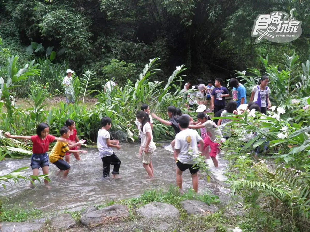 好玩又美拍！全台17條超輕鬆步道：彎月洞穴、巨樹迷宮、龍貓森林