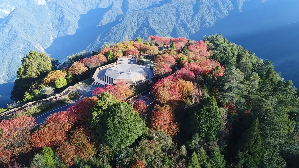 連假必搶！全台最狂25大限定優惠，10元用餐、免費吃到飽、玩樂園不用錢