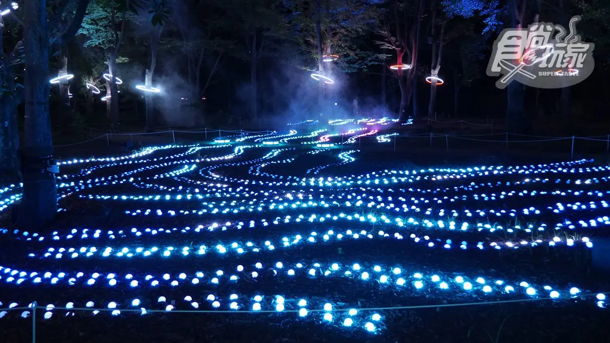 夜遊仙境!日本大阪「SAKUYA LUMINA」夢幻燈光展,整個展區都是IG打卡點 夜遊仙境!日本大阪「SAKUYA LUMINA」夢幻燈光展,整個展區都是IG打卡點