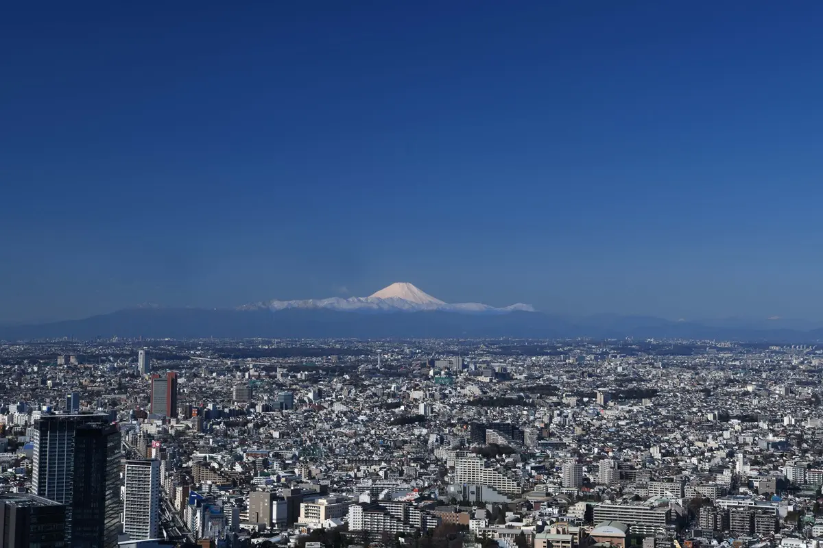 澀谷新地標「視角超威」!網美光廊+「晴空塔、東京鐵塔、富士山」一次收 澀谷新地標「視角超威」!網美光廊+「晴空塔、東京鐵塔、富士山」一次收