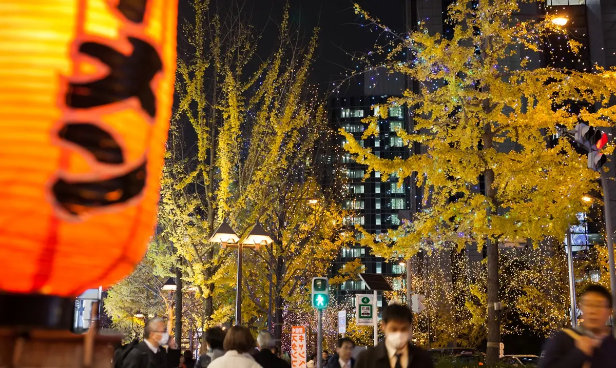 不輸京都!大阪秋天限定7祕境:星之鞦韆、楓紅不倒翁、浪漫金黃大道 不輸京都!大阪秋天限定7祕境:星之鞦韆、楓紅不倒翁、浪漫金黃大道