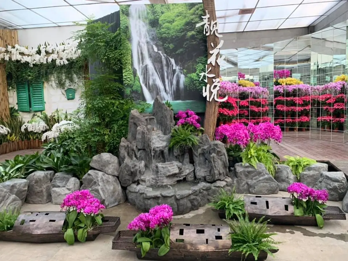 台版小希臘！苗栗新室內景點「鏡中花+網美花牆」10月底前免費參觀