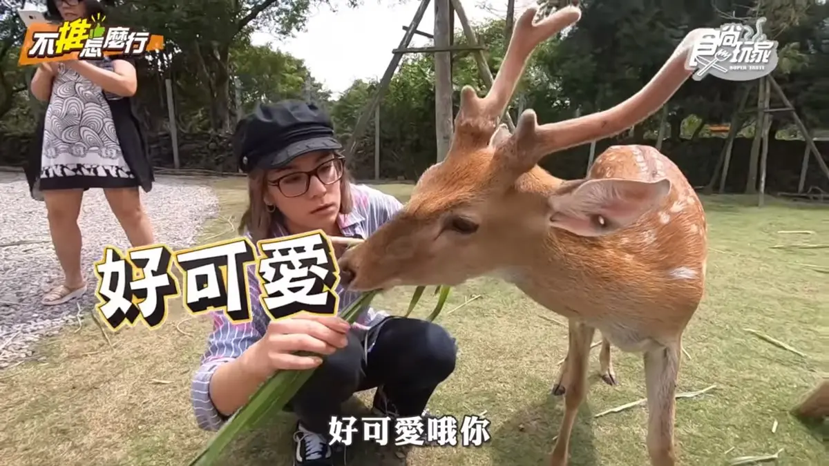 《不推怎麼行》莎莎阿松愚婦自肥之旅！台版奈良、無雷海鮮一次滿足