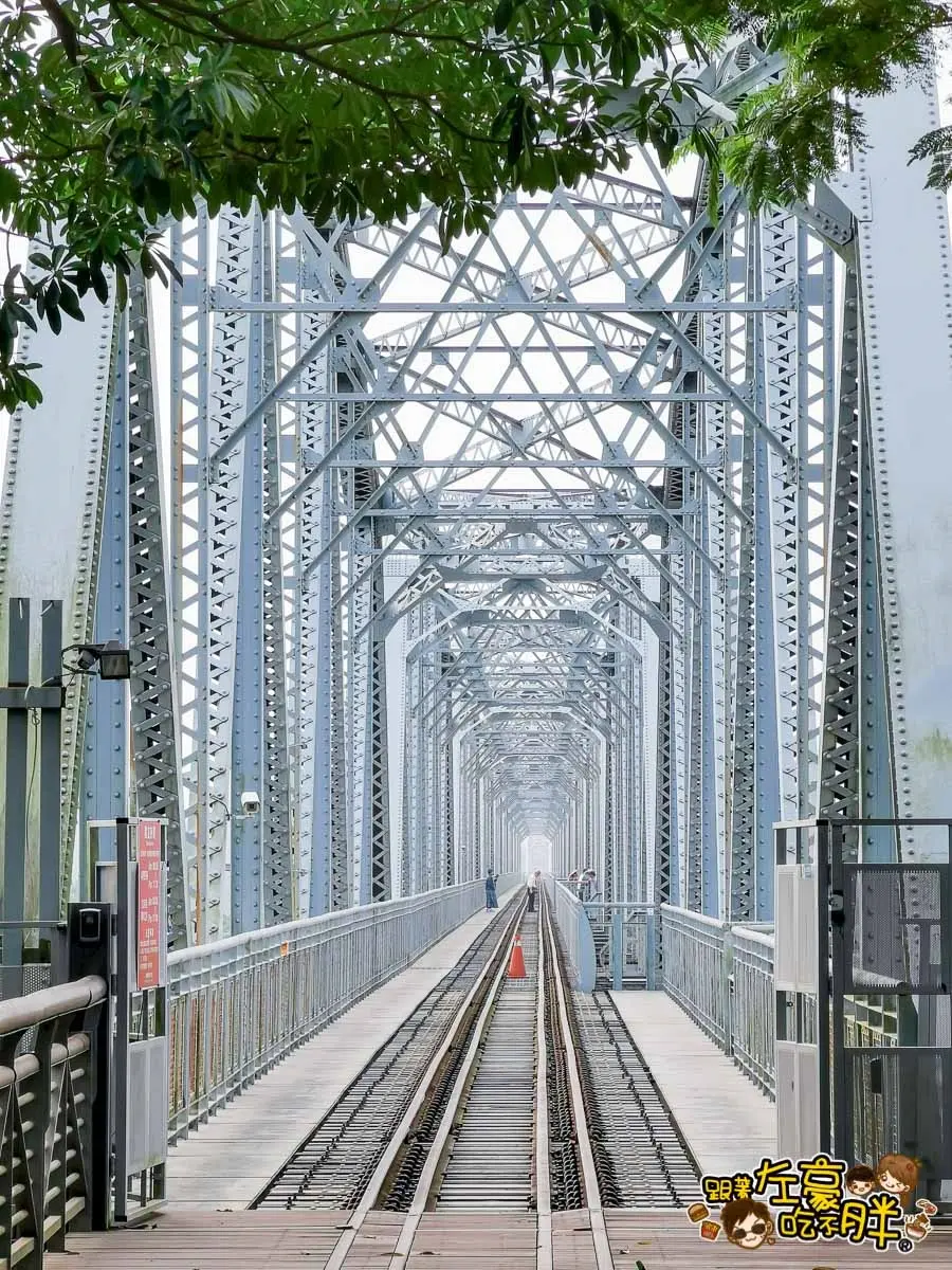 金黃火燒雲奇景現！千坪大波斯夢幻花海開了，必衝「空氣感鐵橋」拍日系美照
