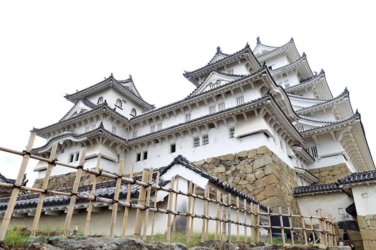 在地人激推！日本必訪「世界遺產」5+1，今年最新「古墳群」可搭私人飛機俯瞰