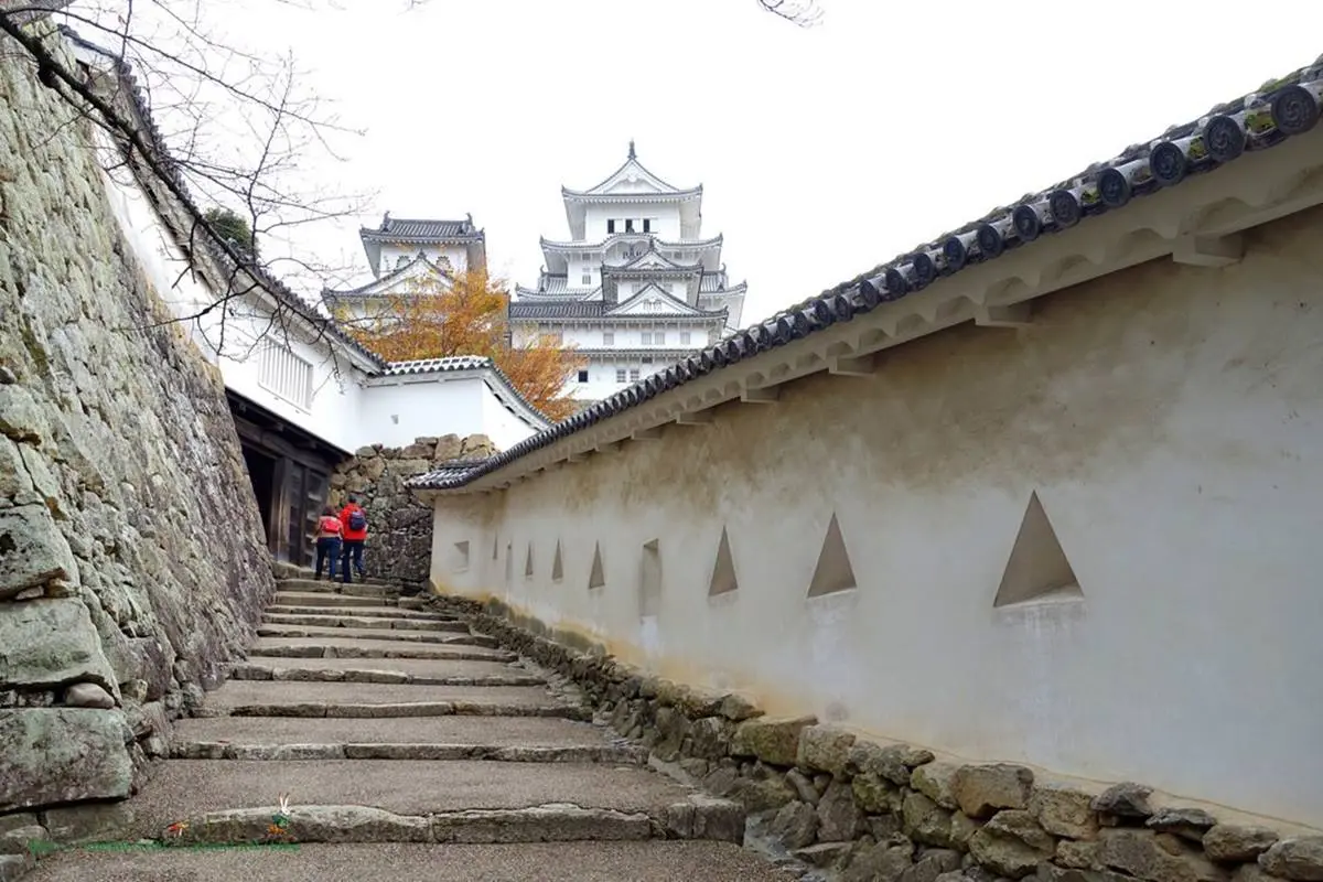 在地人激推！日本必訪「世界遺產」5+1，今年最新「古墳群」可搭私人飛機俯瞰