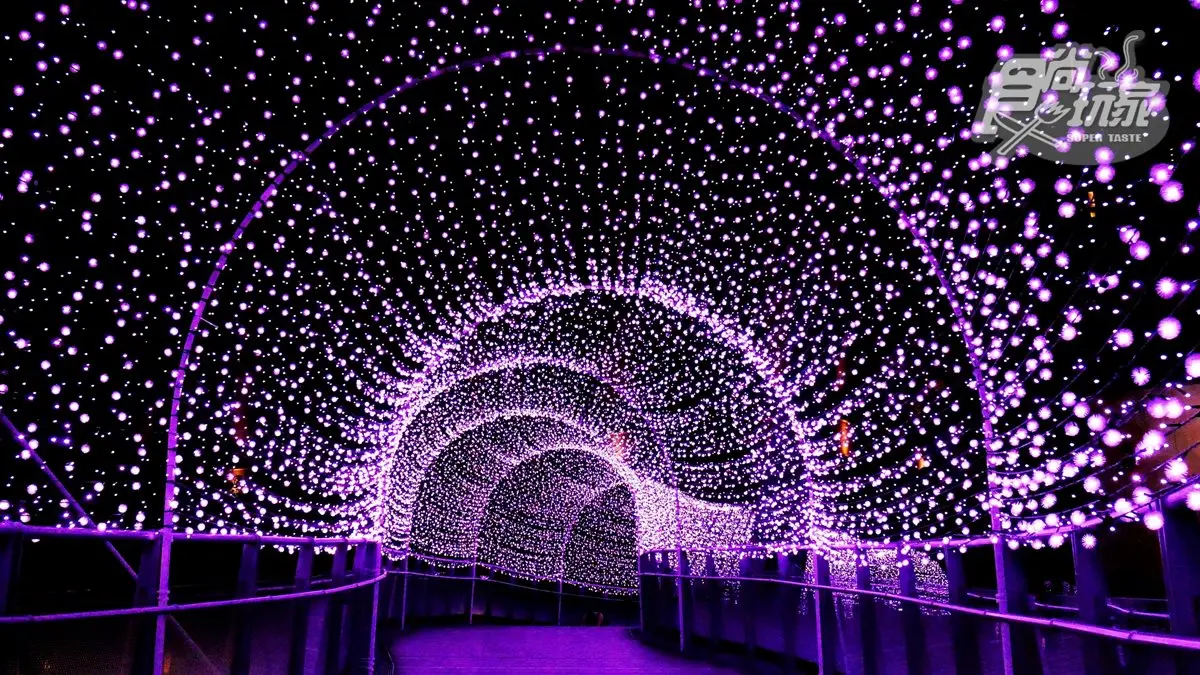 新北耶誕「8座夢幻天橋」你蒐集到幾個？最美是紫色蒲公英光廊