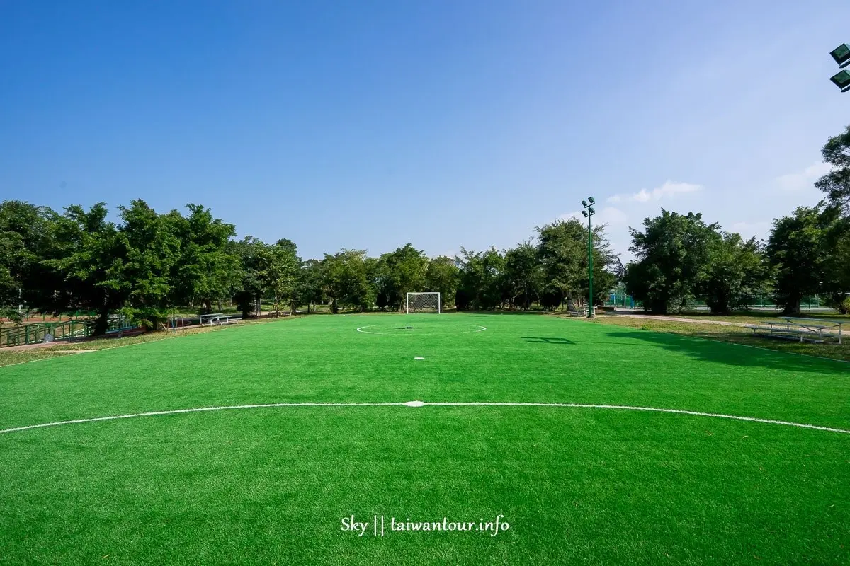 林口最新海洋系公園！4樓高水管滑梯直衝「鯨魚池」，還有超斜滑草場可溜