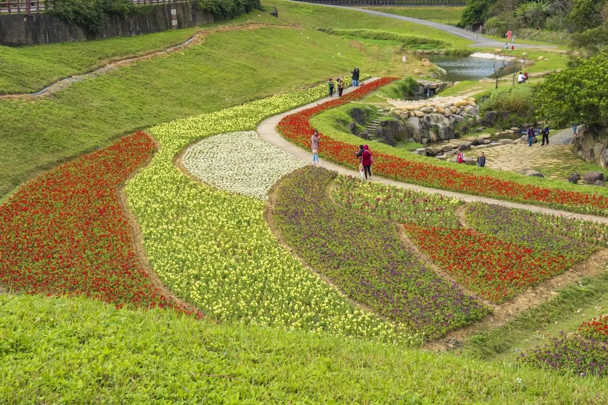 台北新祕境「搭捷運就到」！420坪「浪花系拼色花海」超好拍，還有石頭步道可以跳