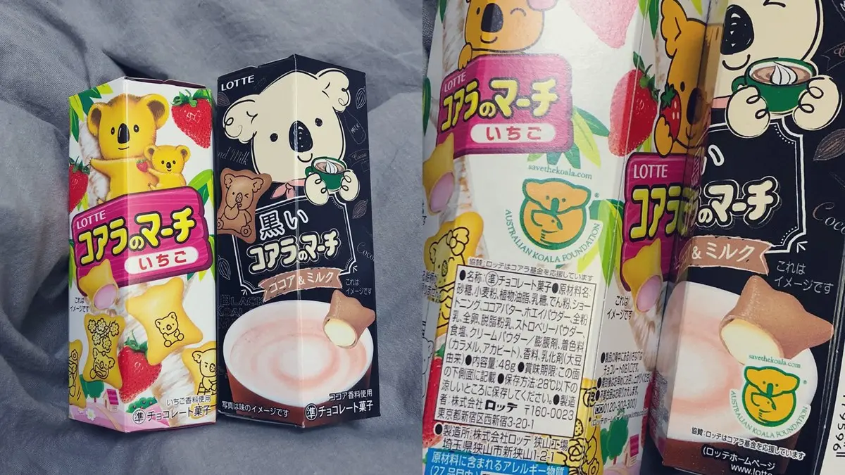 快用新台幣下架！怒吃「樂天小熊餅乾」，也可以拯救澳洲無尾熊
