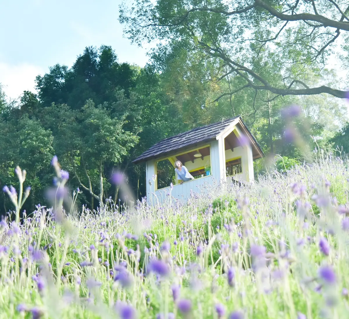 全台最美紫色花海「兩地開」!馬戲團風「旋轉木馬」藏薰衣草堆,入夜發光轉超夢幻 全台最美紫色花海「兩地開」!馬戲團風「旋轉木馬」藏薰衣草堆,入夜發光轉超夢幻