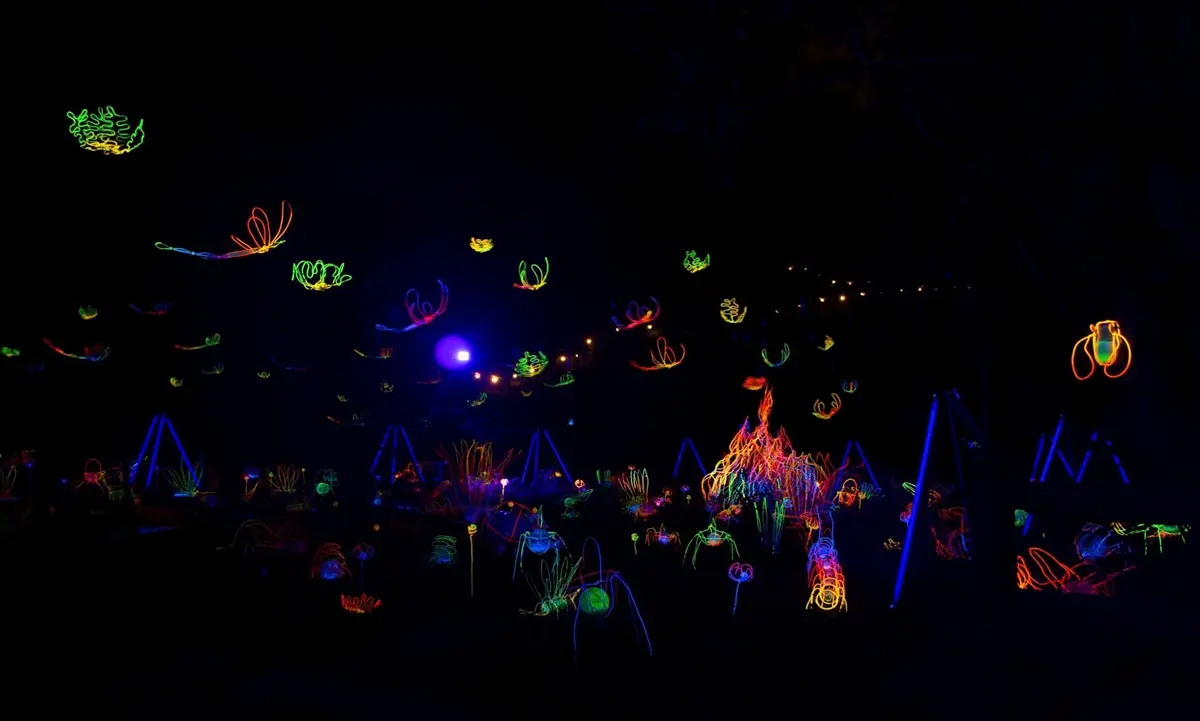 魔幻「螢光蟲」出沒!台南小祕境「龍崎空山祭」比阿凡達星球還炫 魔幻「螢光蟲」出沒!台南小祕境「龍崎空山祭」比阿凡達星球還炫