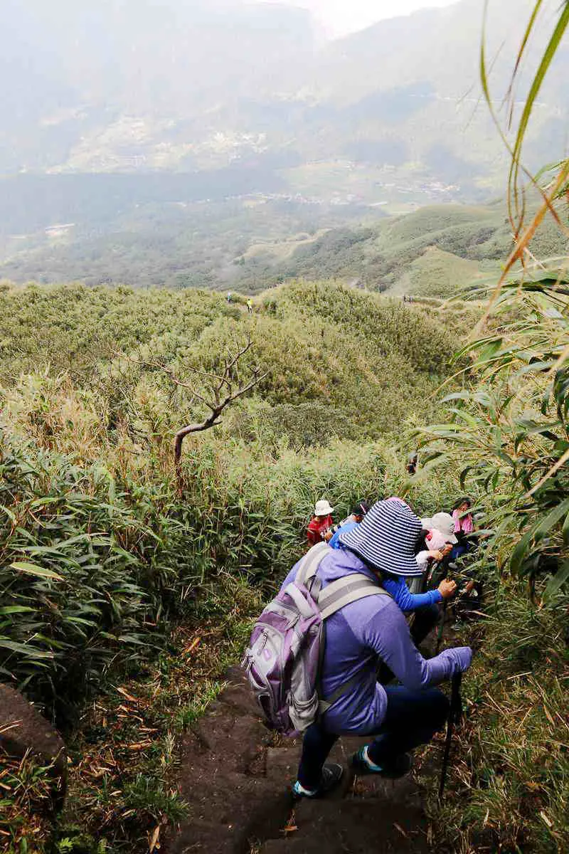台灣唯一火山步道,台北最高峰七星山輕鬆登頂路線,幼稚園小孩都能走 台灣唯一火山步道,台北最高峰七星山輕鬆登頂路線,幼稚園小孩都能走