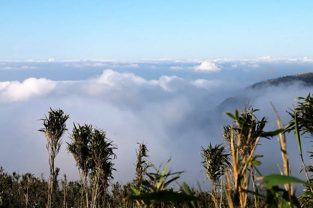 台灣唯一火山步道,台北最高峰七星山輕鬆登頂路線,幼稚園小孩都能走 台灣唯一火山步道,台北最高峰七星山輕鬆登頂路線,幼稚園小孩都能走