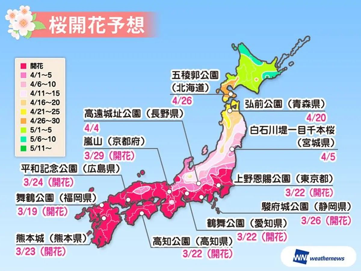 收這張圖訂機票！2020日本櫻花特報，京都、大阪滿開時刻「巧撞台灣連假」