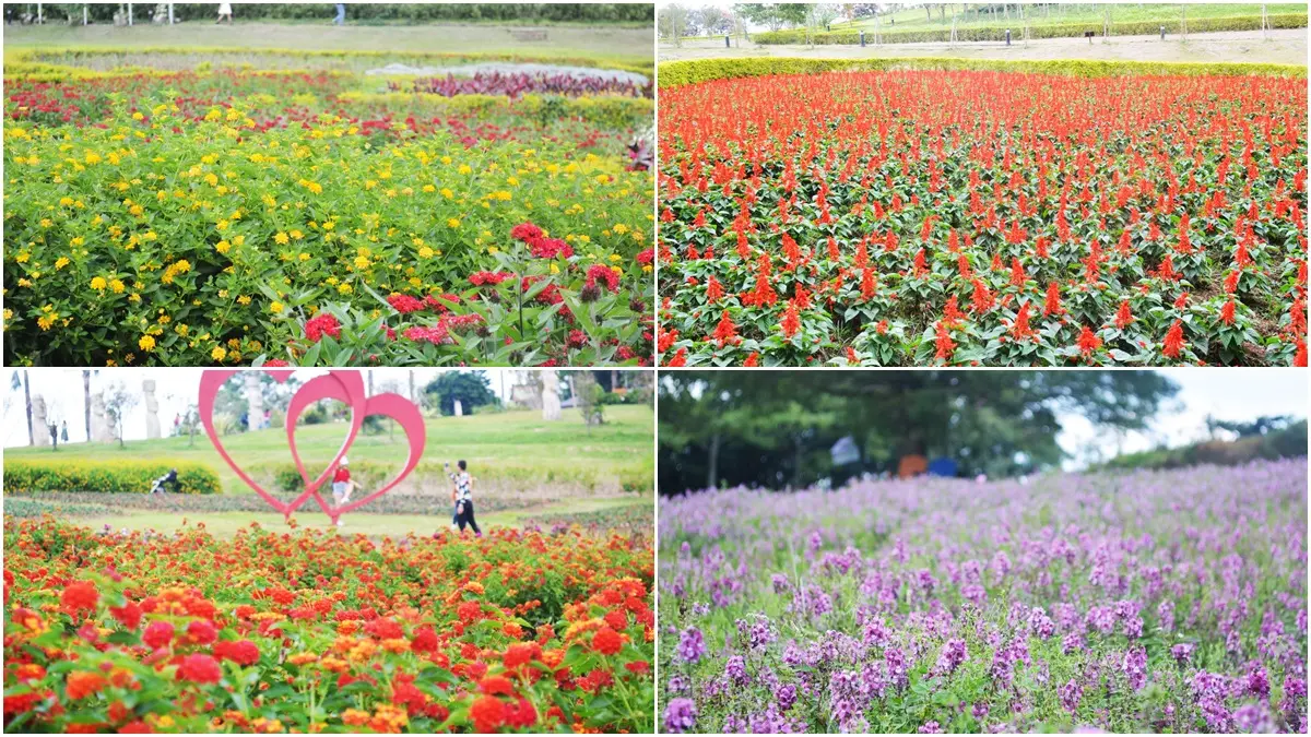 戲迷回味！桃園5個偶像劇美拍場景：彩虹花海、水晶教堂，還能餵草泥馬、穿宮廷服